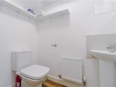 Picture 15